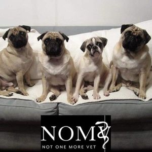 Meet your Posher, Billie